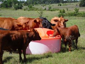 300-gallon Mix 30 wheel tank in a pasture