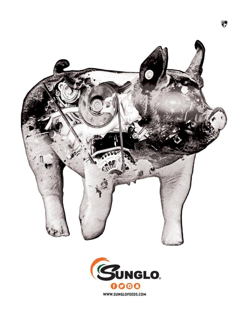 Sunglo swine show feed